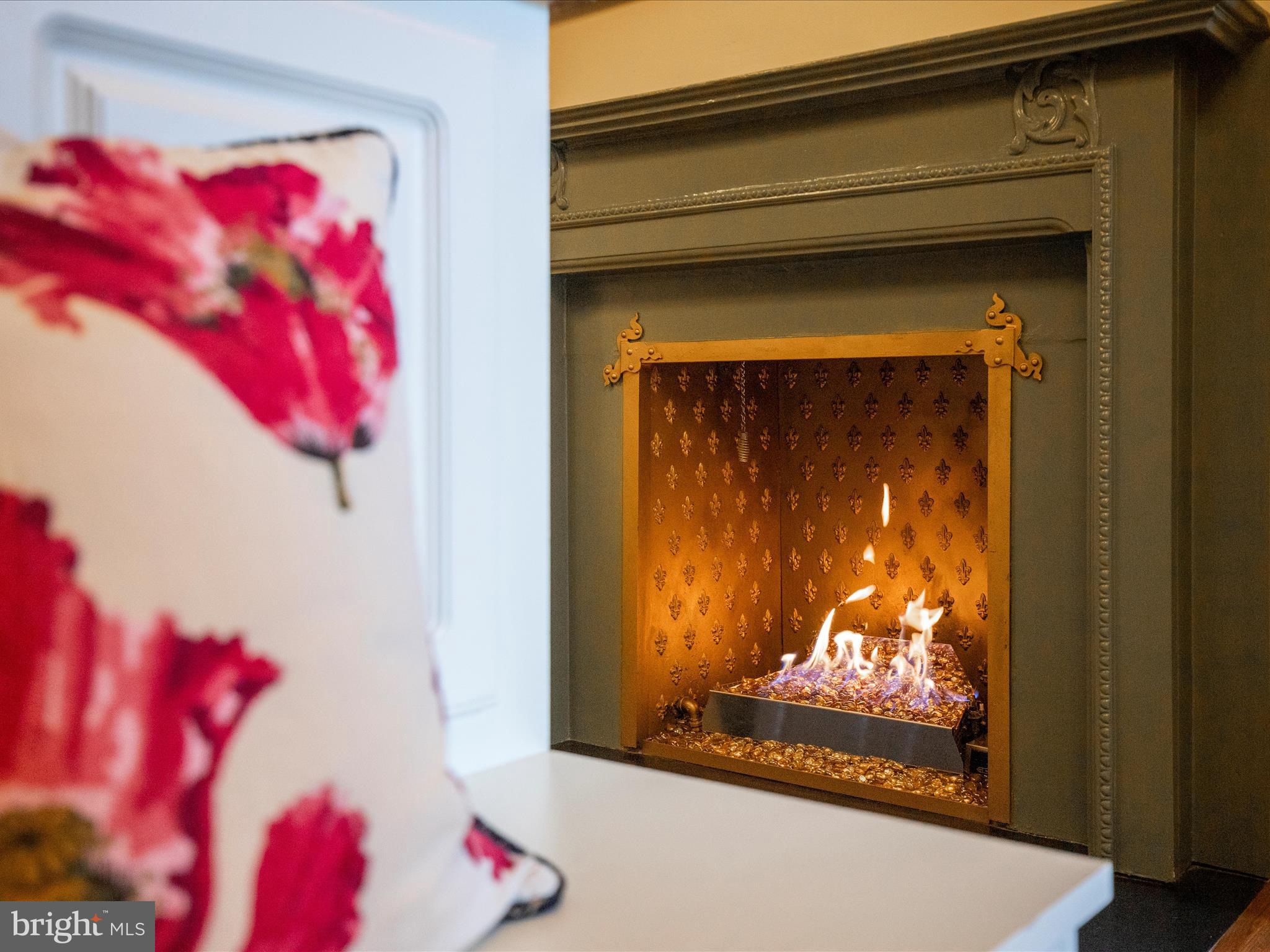 HISTORIC FREDERICK CITY - Residential