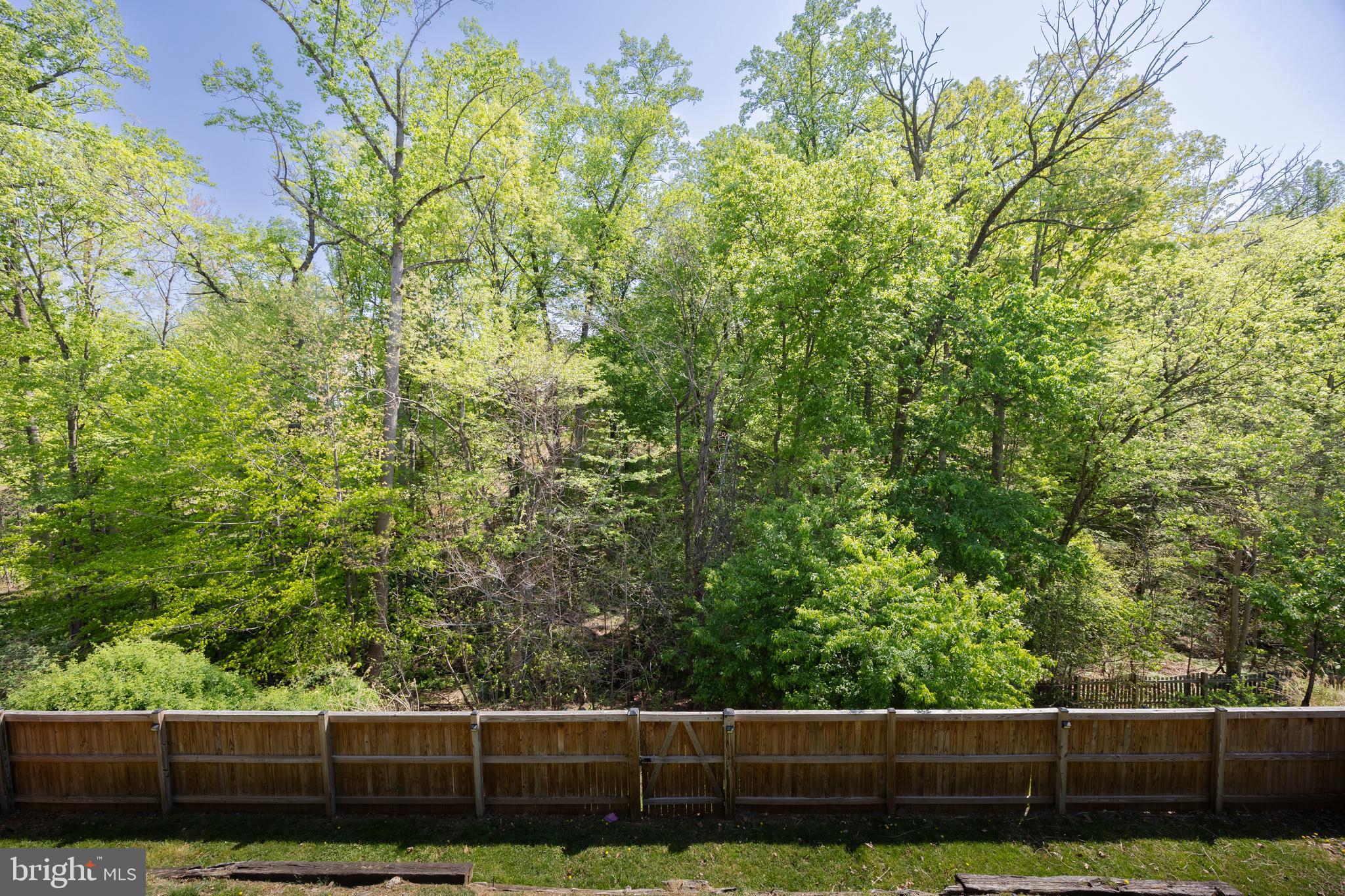 PATAPSCO WOODS - Residential