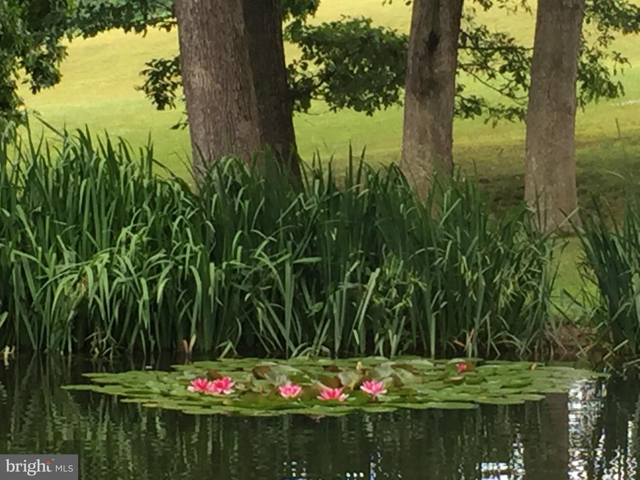 LANDINGVILLE - Residential