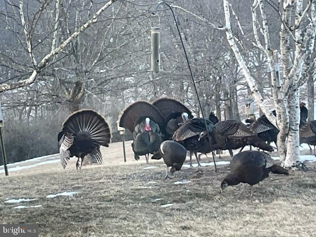 LANDINGVILLE - Residential