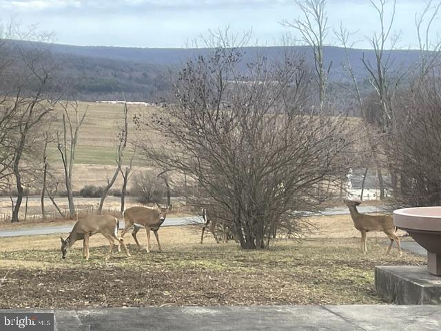 LANDINGVILLE - Residential