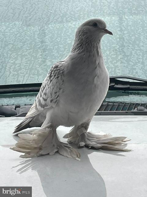 LANDINGVILLE - Residential