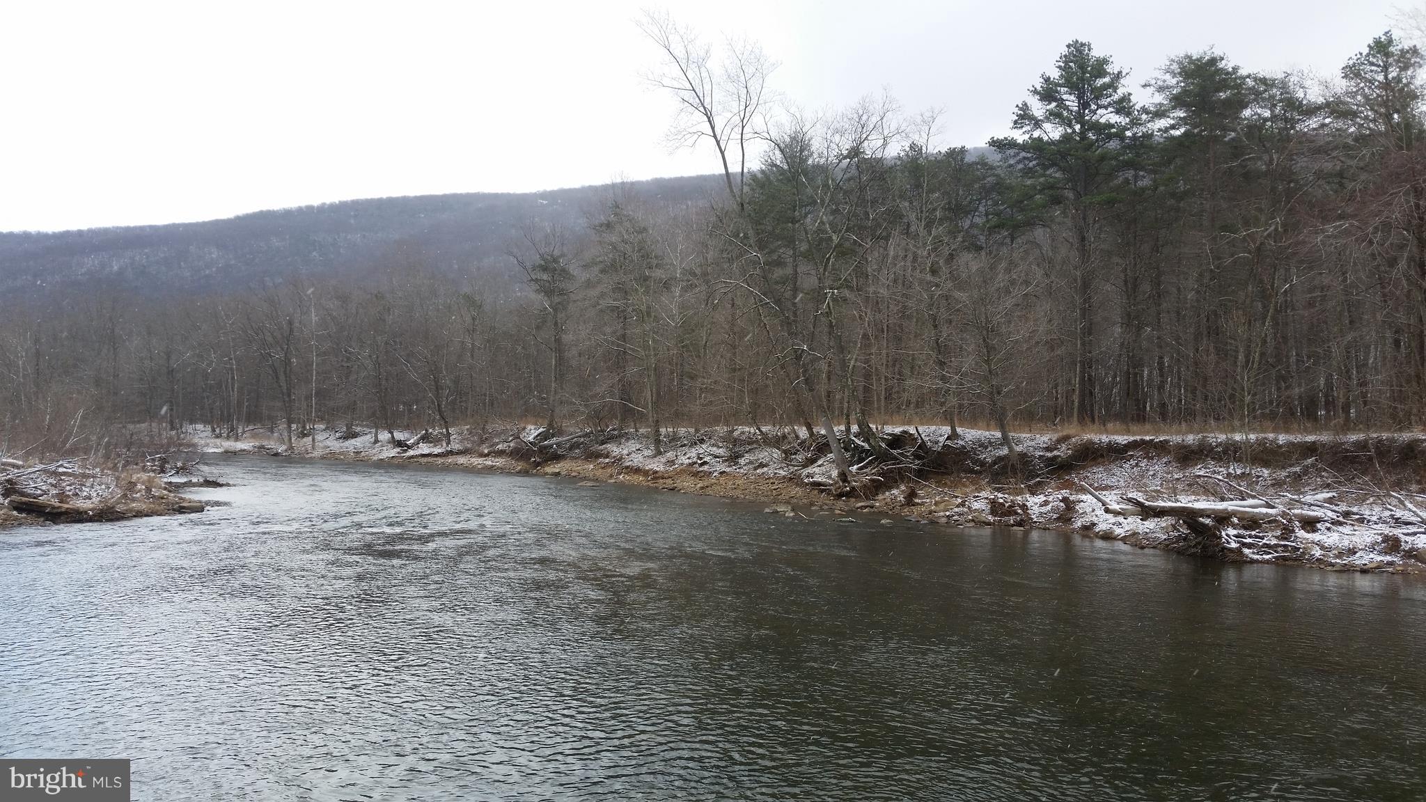 BRIARY BOTTOM - Land