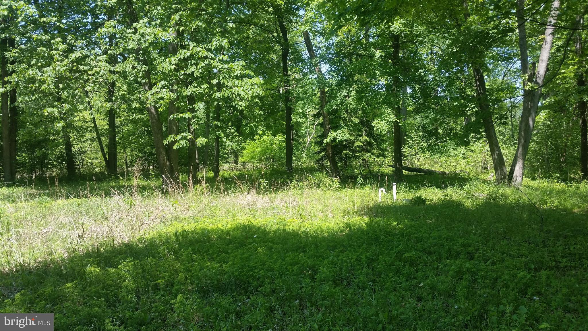 BRIARY BOTTOM - Land