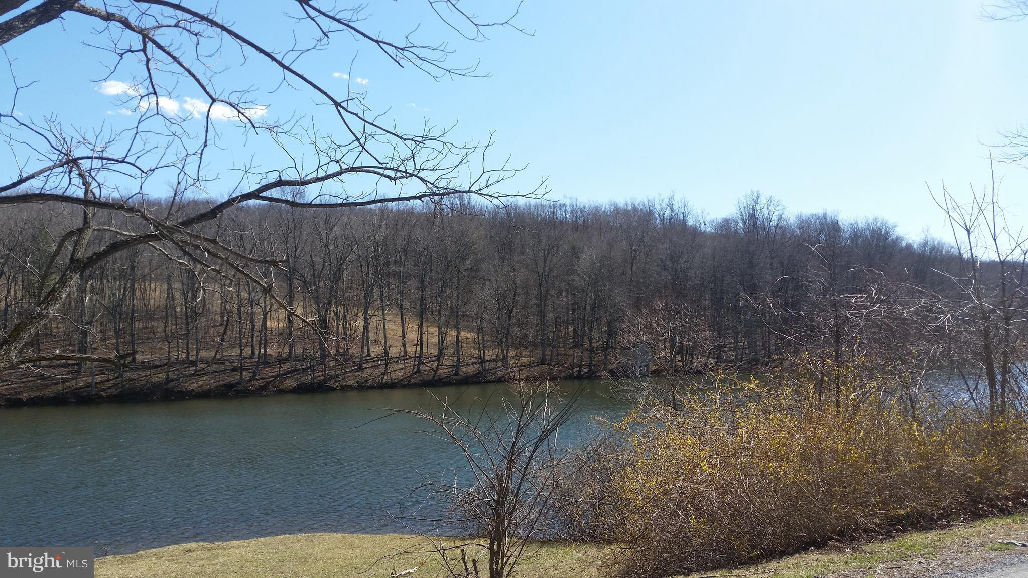 BRIARY BOTTOM - Land