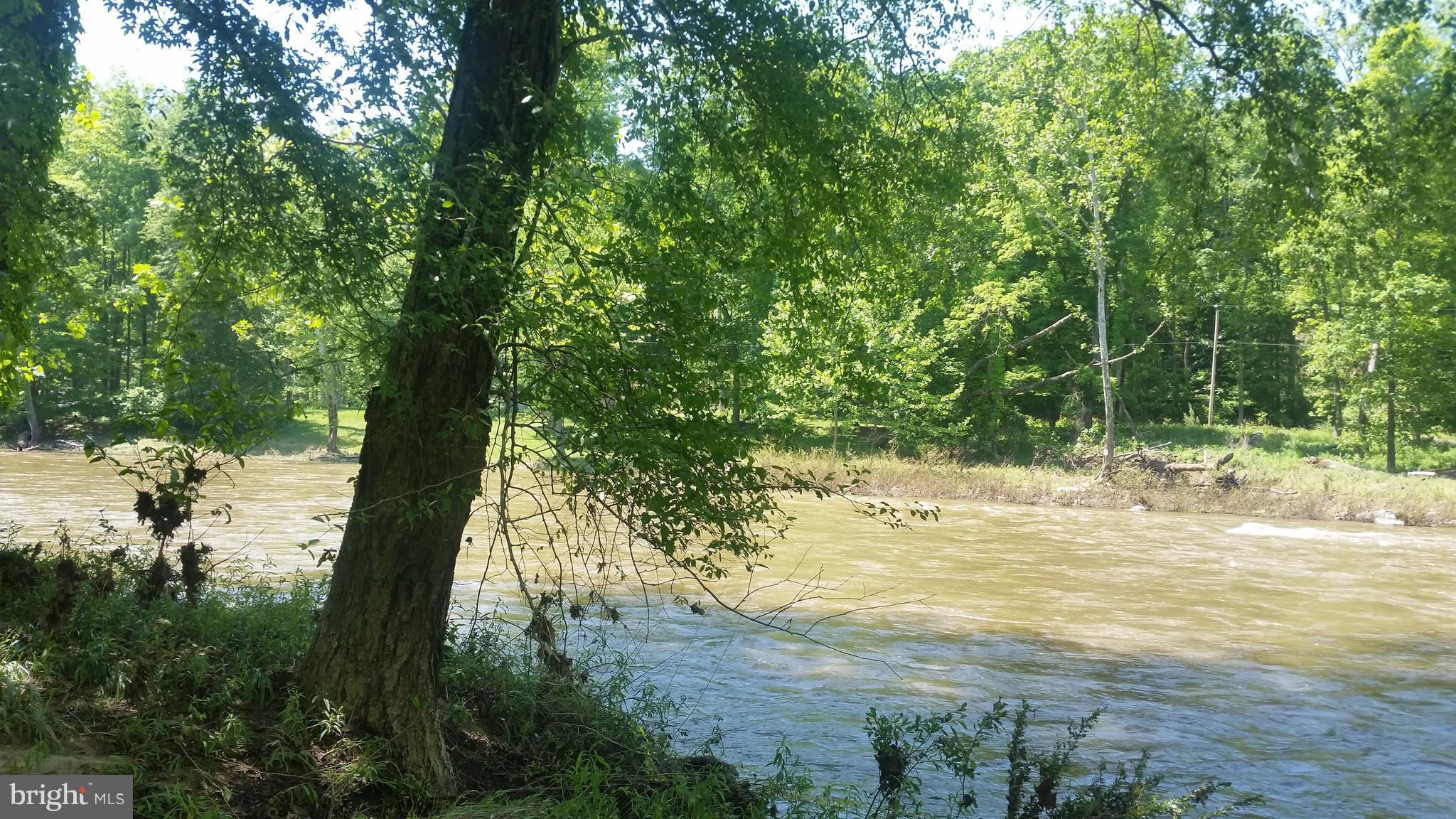 BRIARY BOTTOM - Land