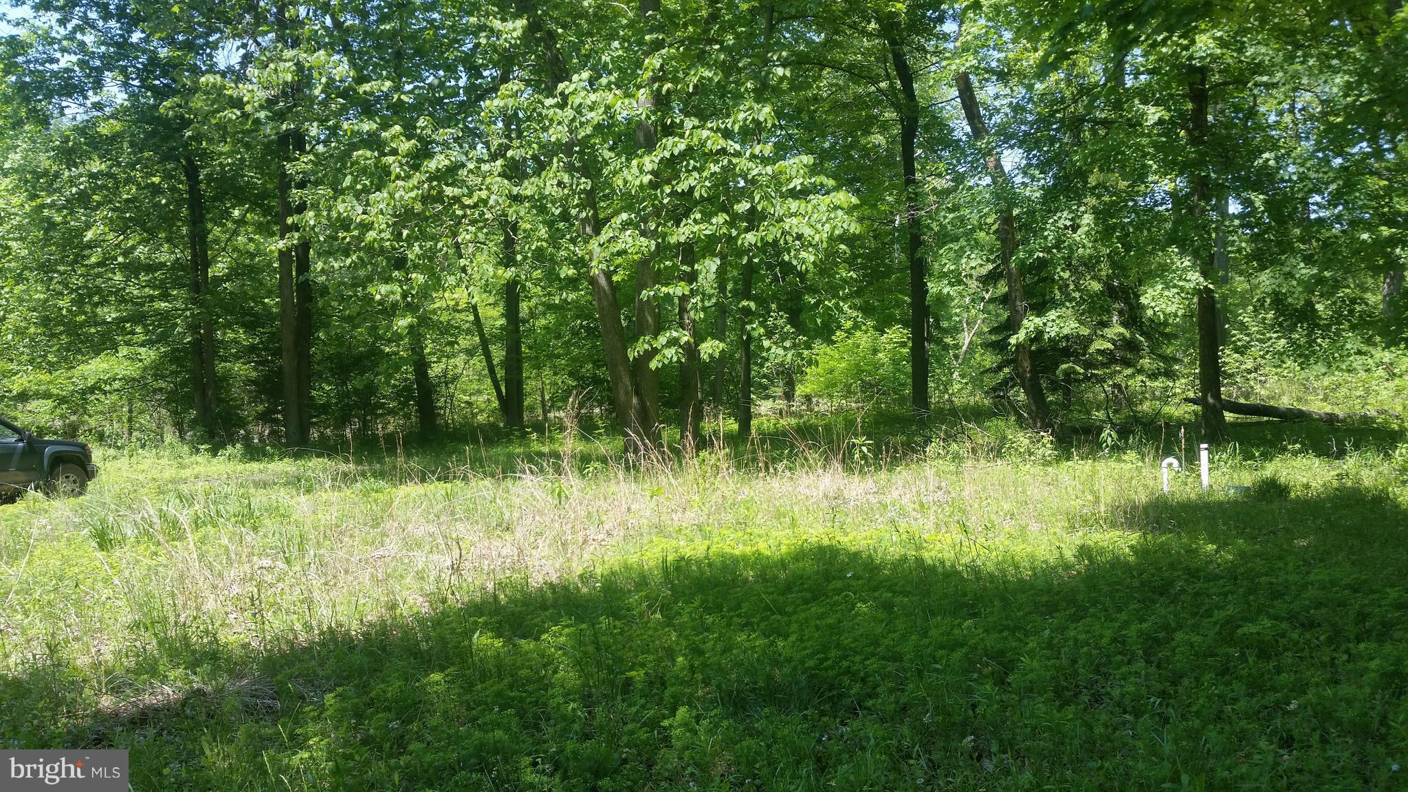 BRIARY BOTTOM - Land