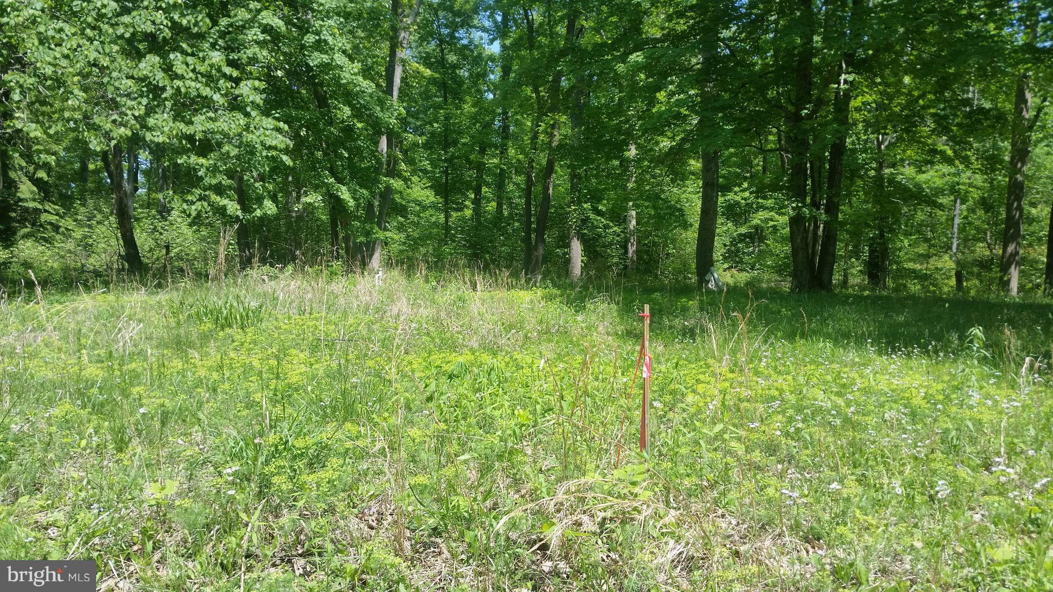 BRIARY BOTTOM - Land