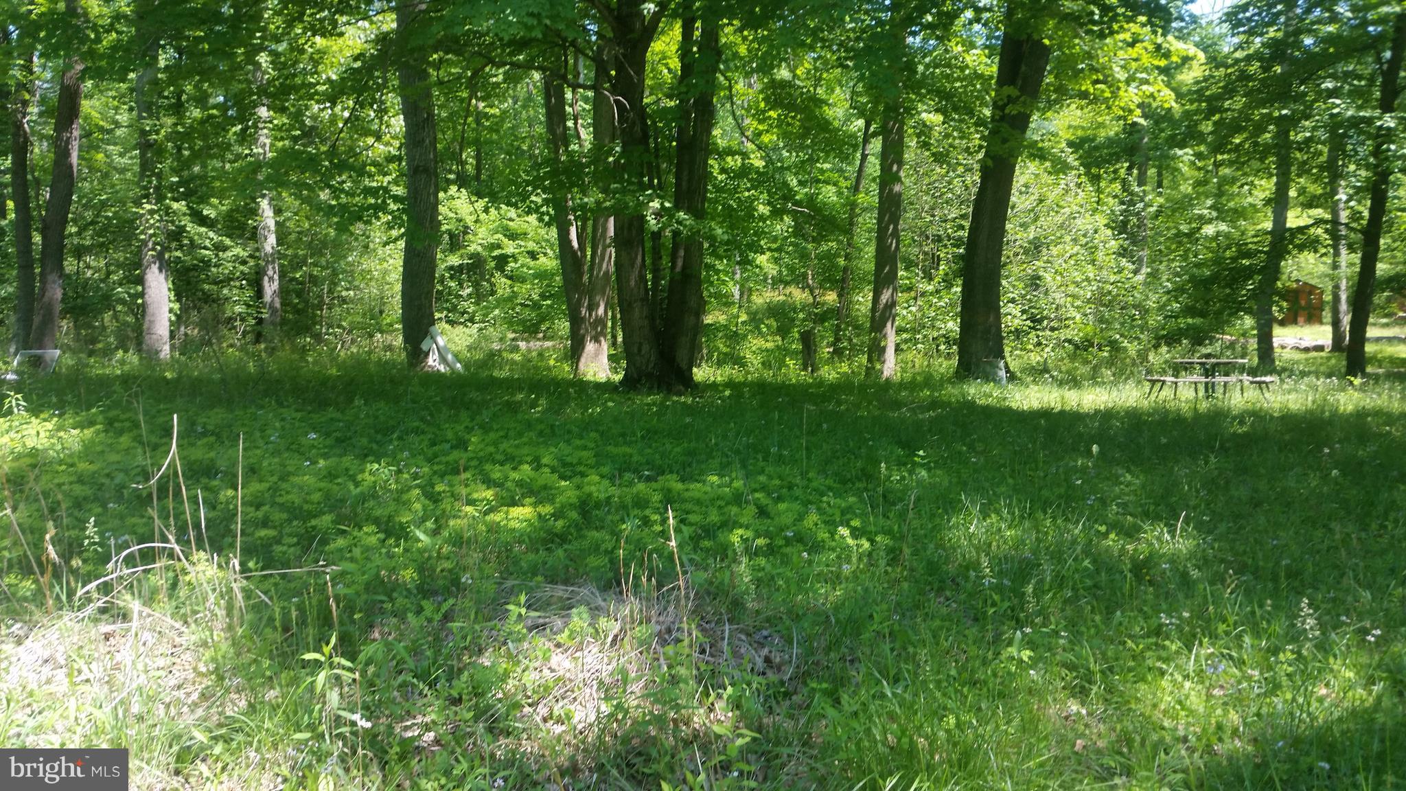 BRIARY BOTTOM - Land