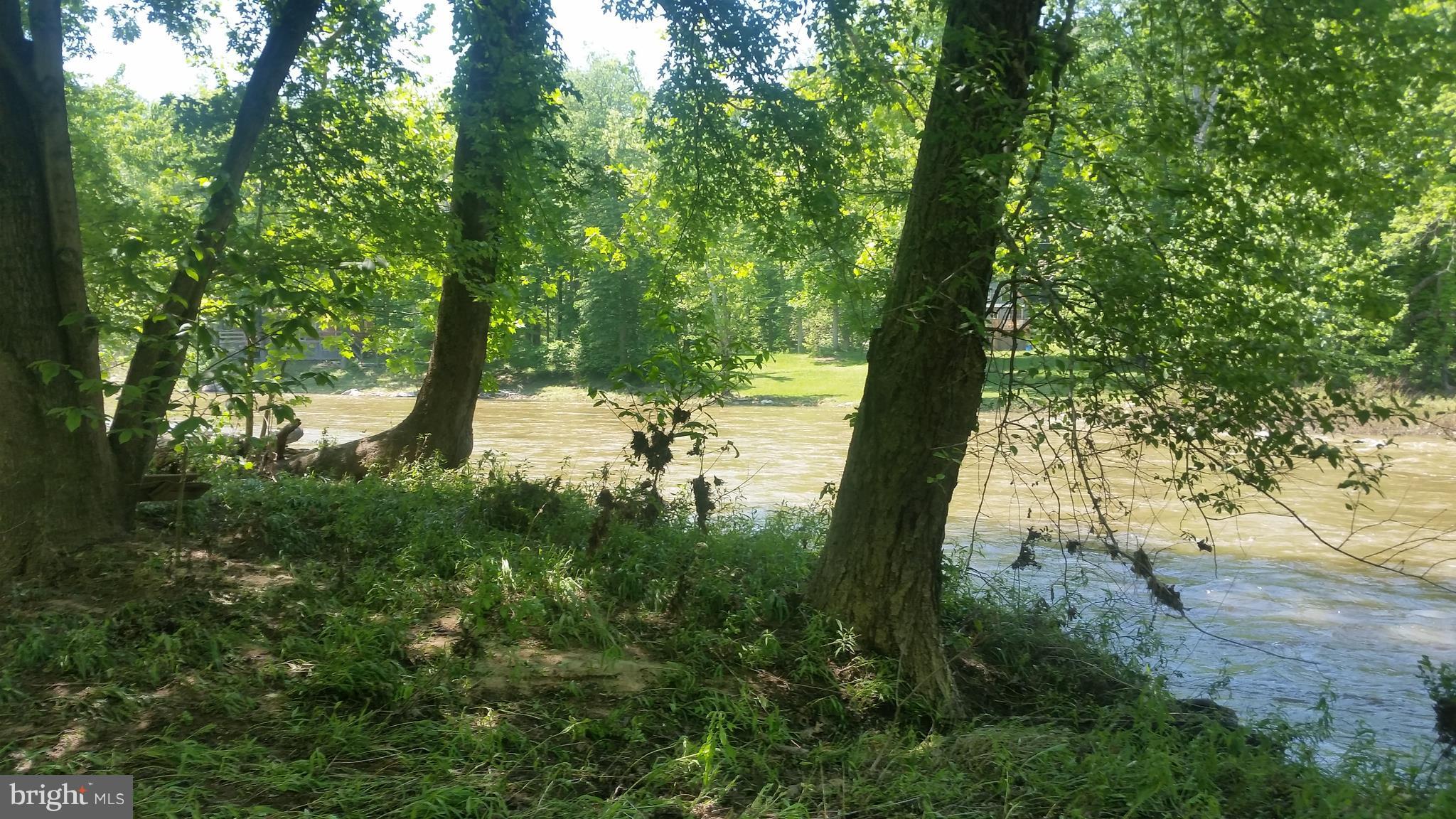 BRIARY BOTTOM - Land