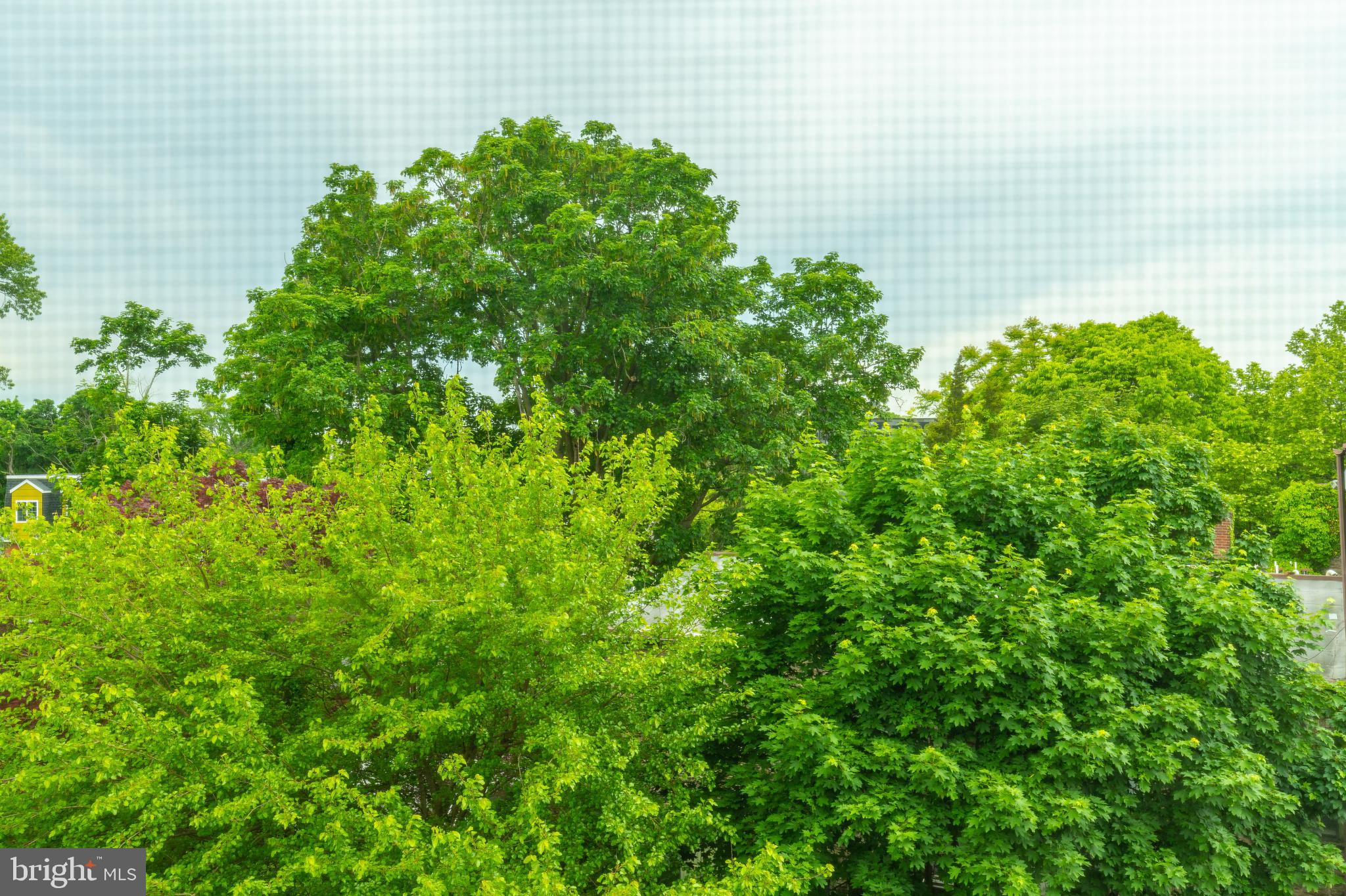 MT AIRY - Residential Income