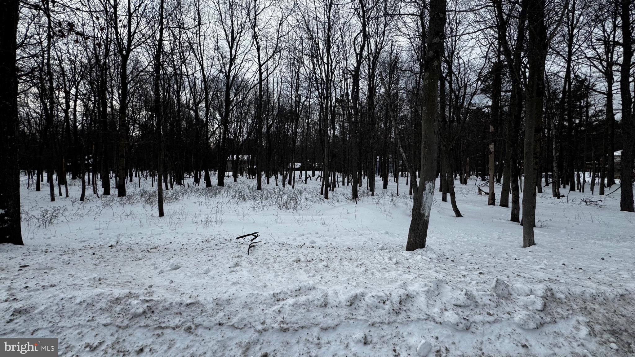 0 STONY MOUNTAIN ROAD LOT EV961