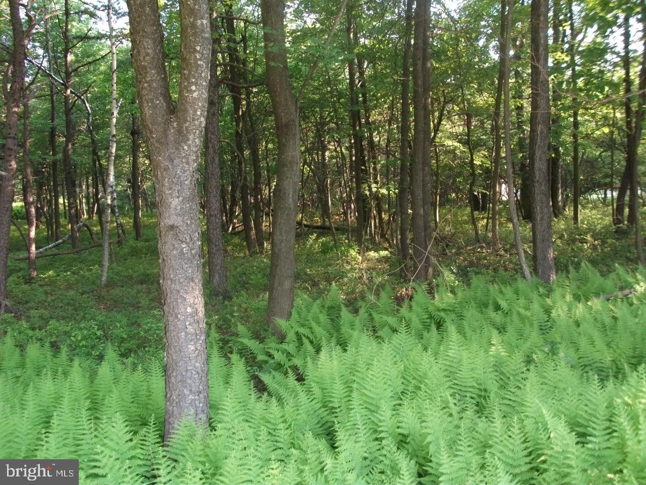 TOWAMESING TRAILS - Land