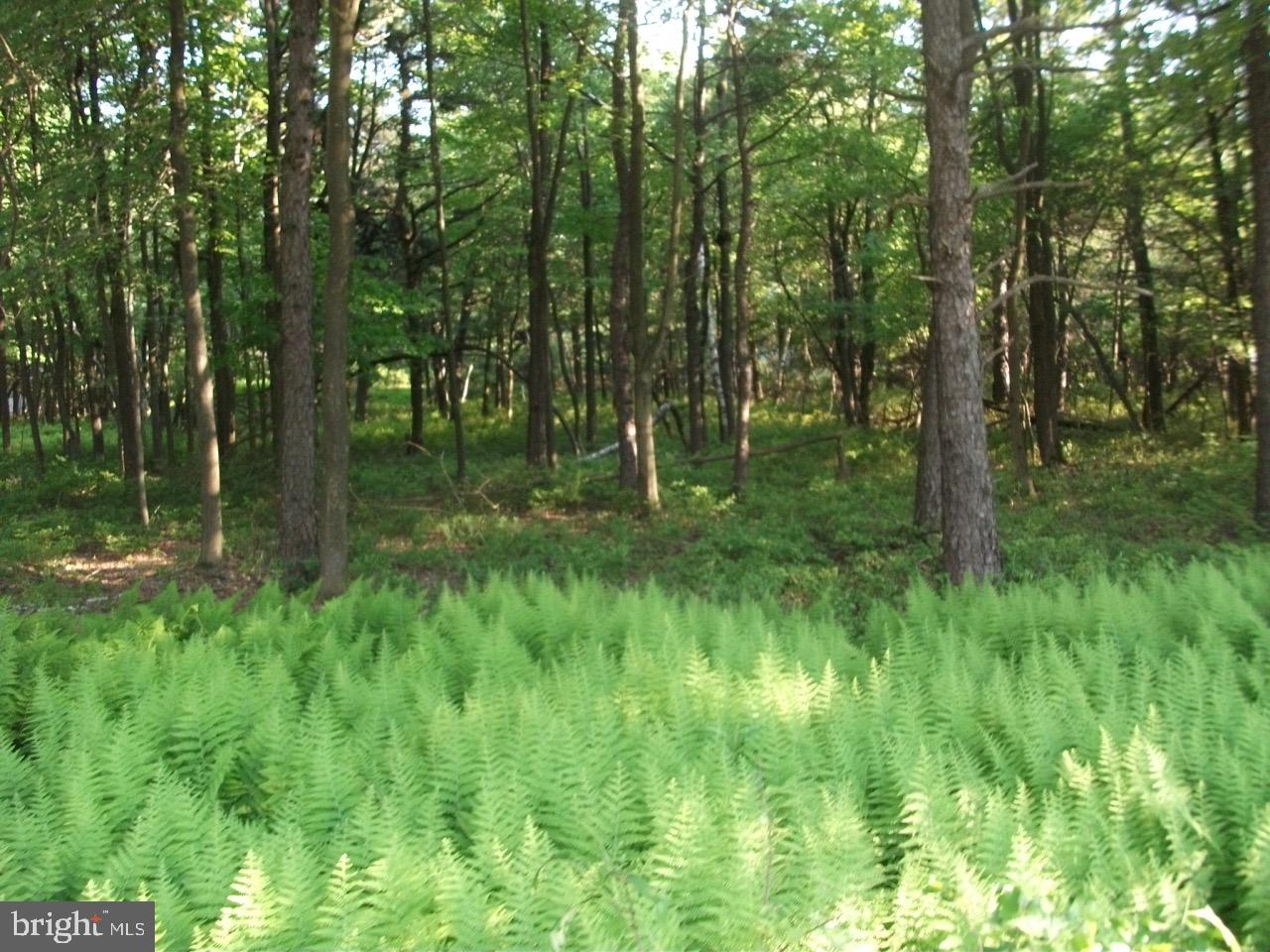 TOWAMESING TRAILS - Land
