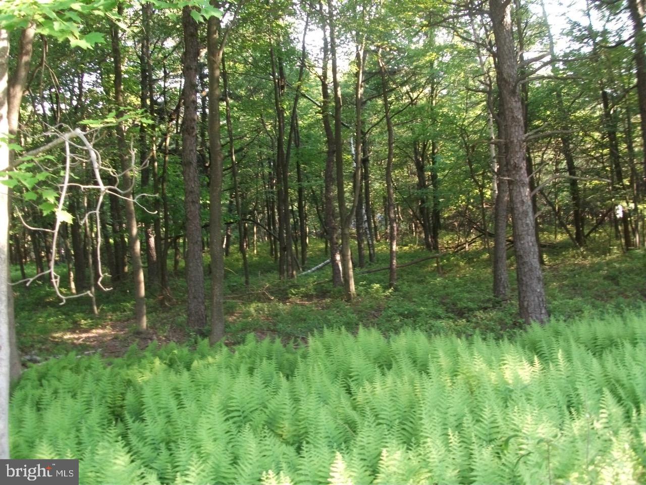 TOWAMESING TRAILS - Land