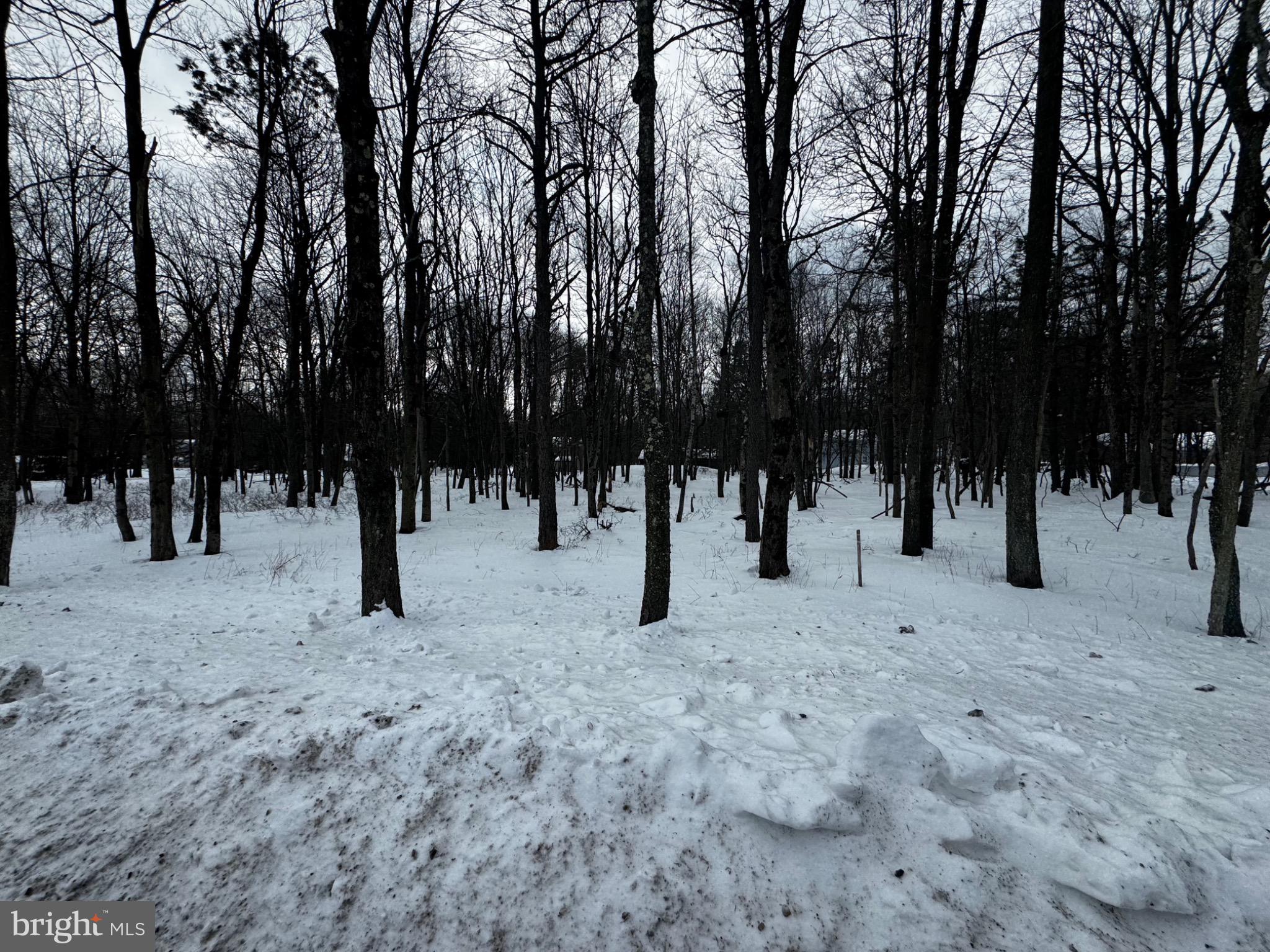 TOWAMESING TRAILS - Land