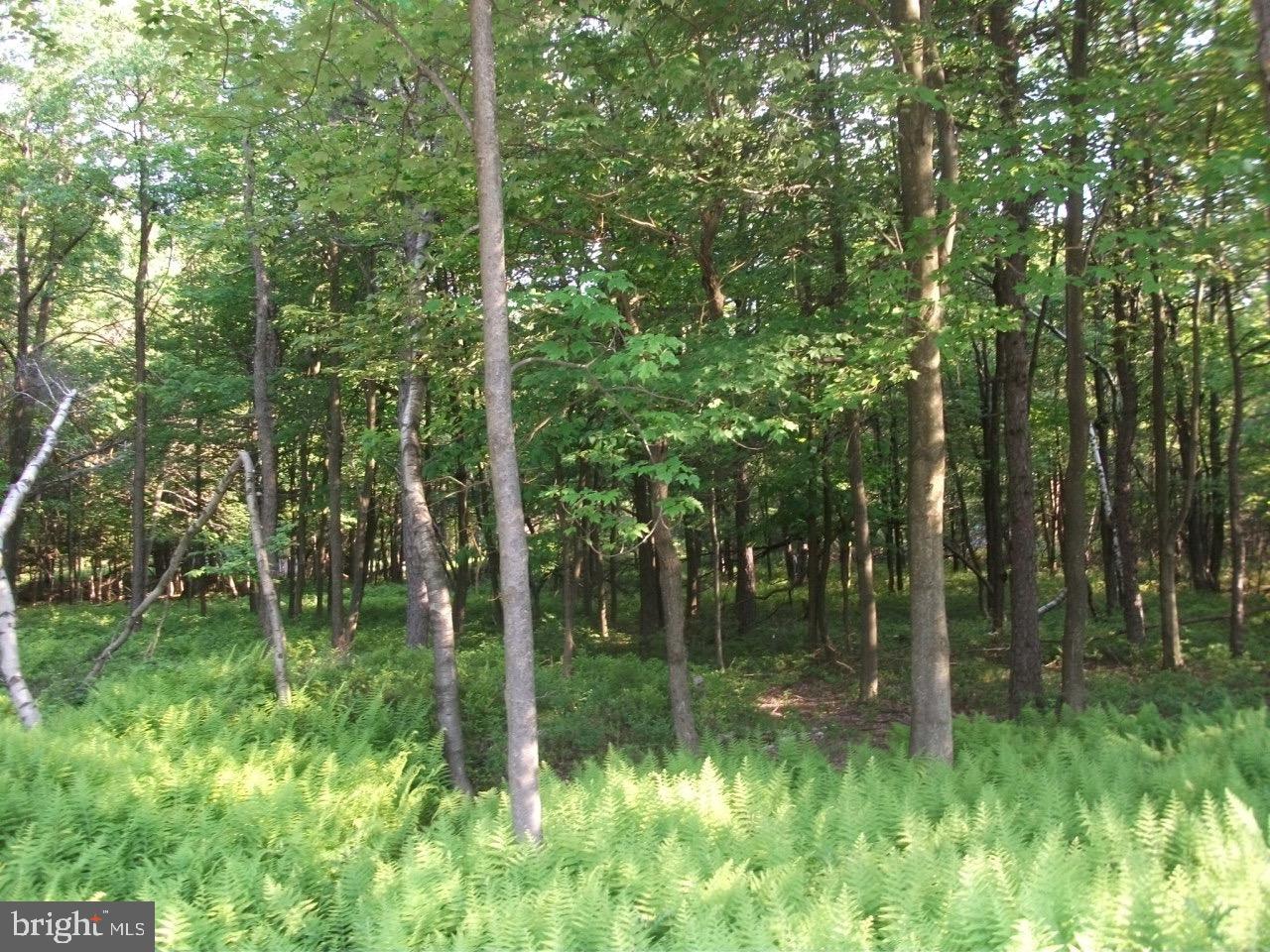 TOWAMESING TRAILS - Land
