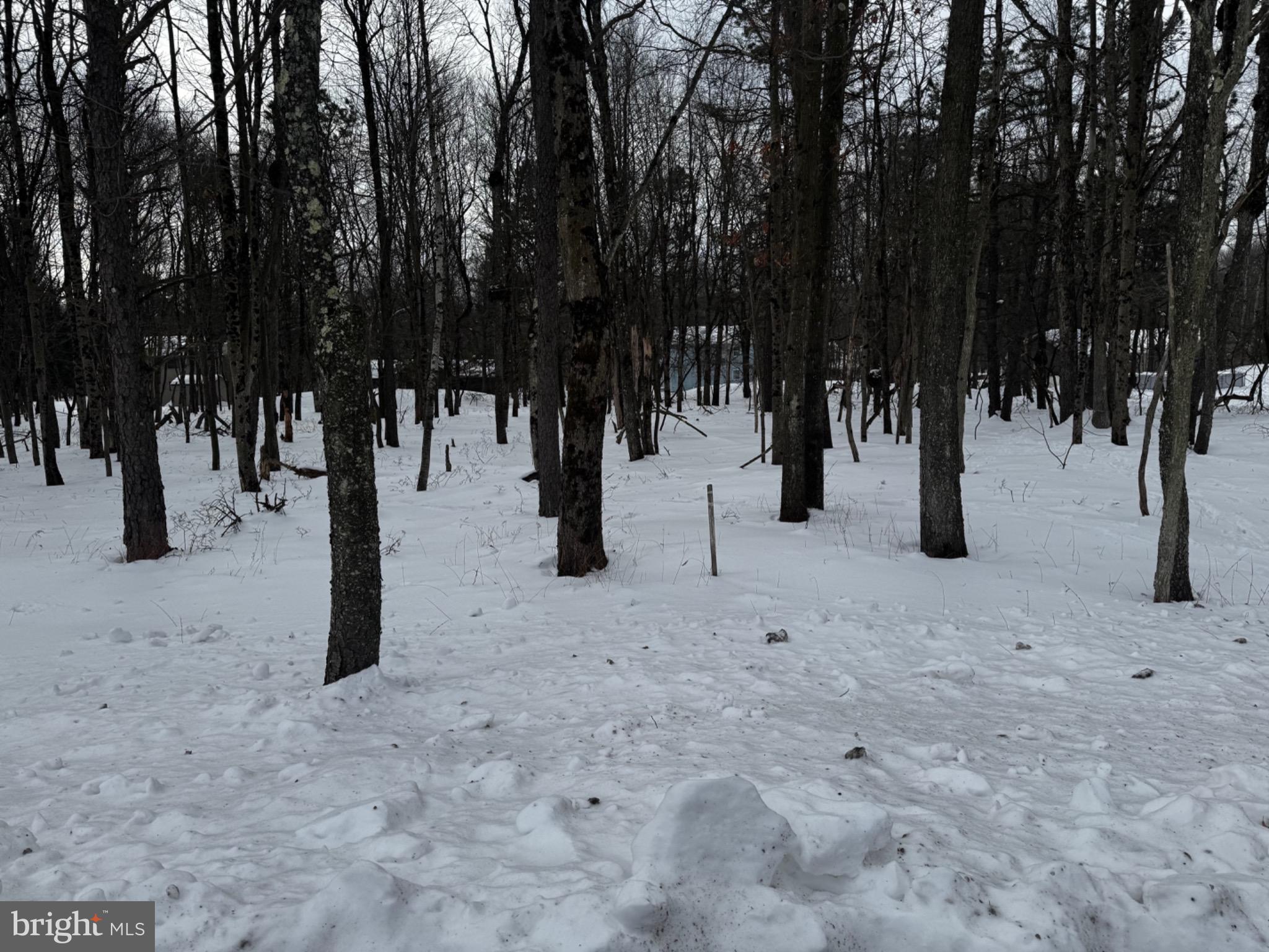 0 STONY MOUNTAIN ROAD LOT EV961