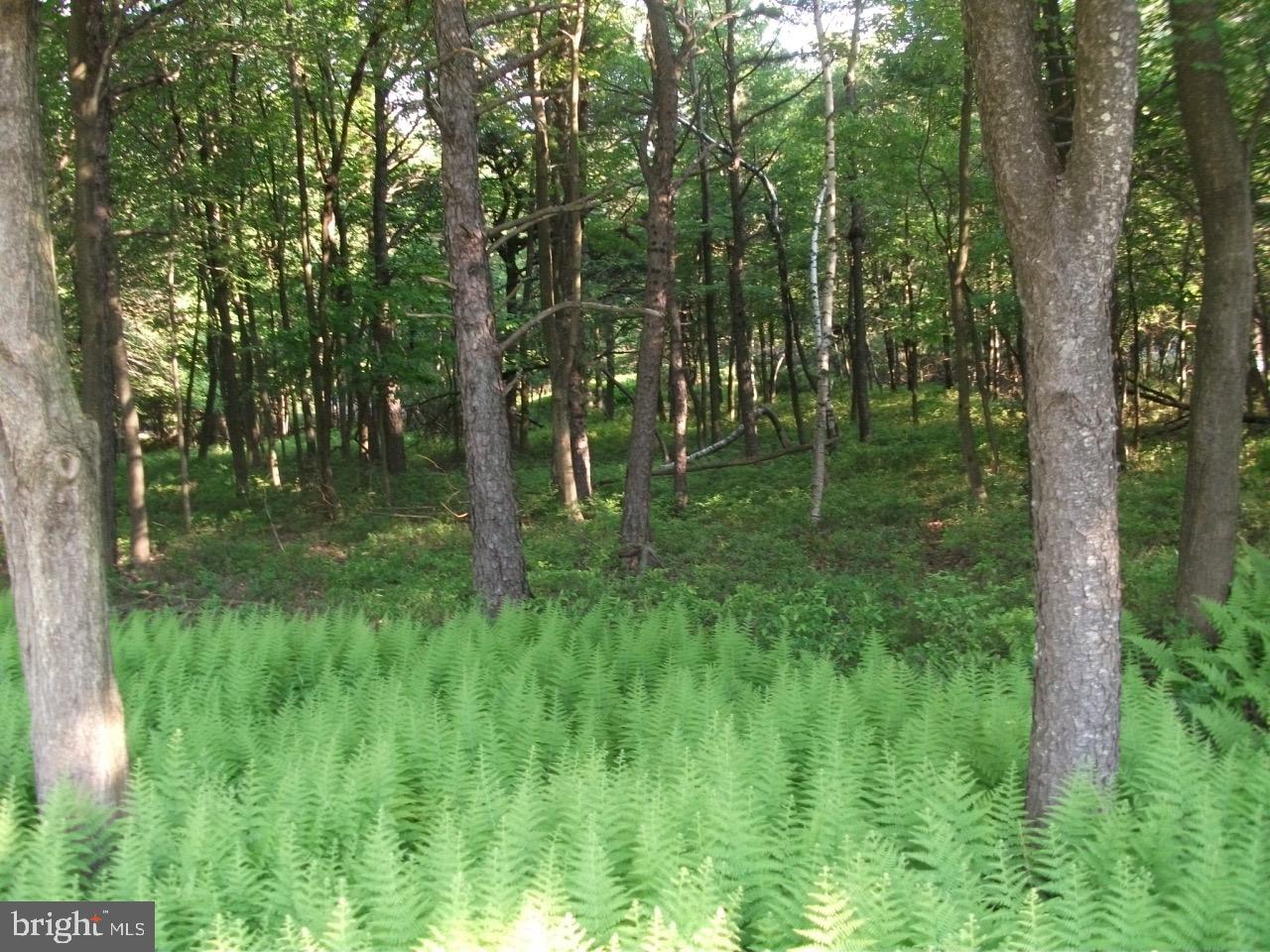 TOWAMESING TRAILS - Land