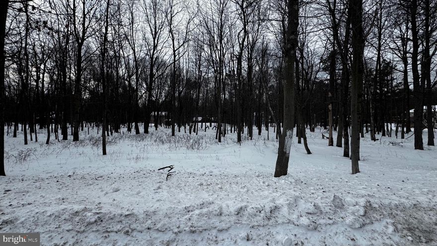 Building lot in amenity filled Towamensing Trails Community. Property is located on a township-maintained road , and homes on this road can receive mail delivery at their property. Community amenities include a pool, a lake for swimming, fishing, or boating, a beach, tennis courts, a playground, and security. The TLTC is a private club within the community with a bar and casual restaurant. Property survey attached to documents. The previous septic permit and design for a 3 Bedroom would need some updating to current requirements. The township allows short-term rentals with proper licensing and zoning permit updates. The community has a short term rental program.