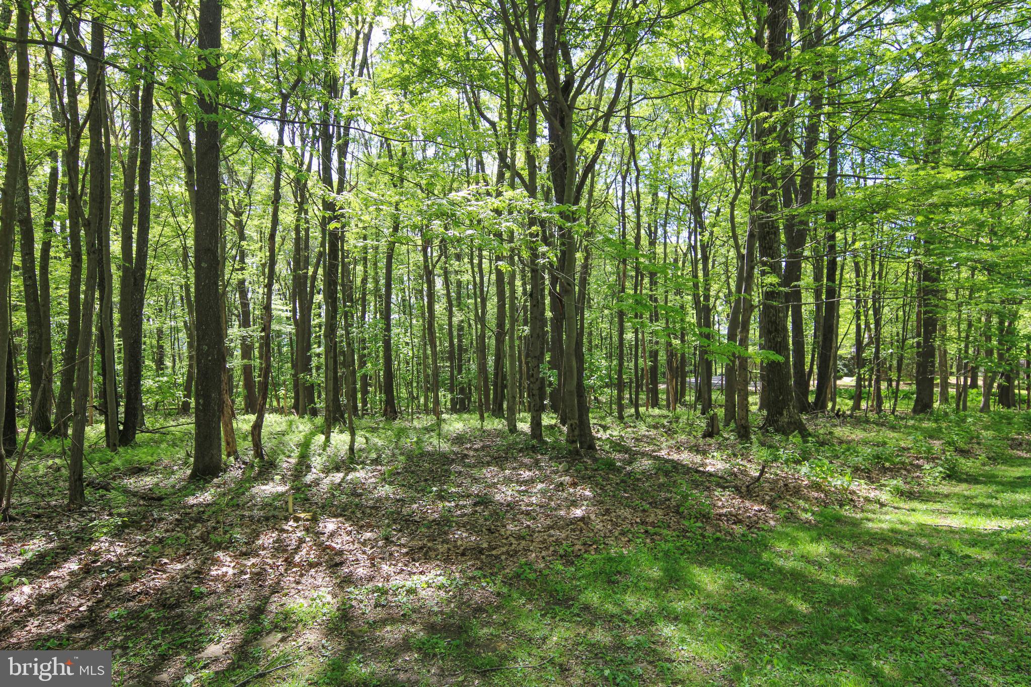 FERNWOOD DRIVE LOT N
