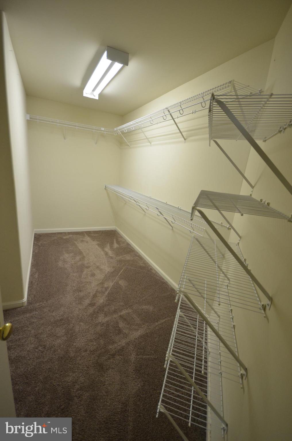 ALBIN ESTATES - Residential Lease