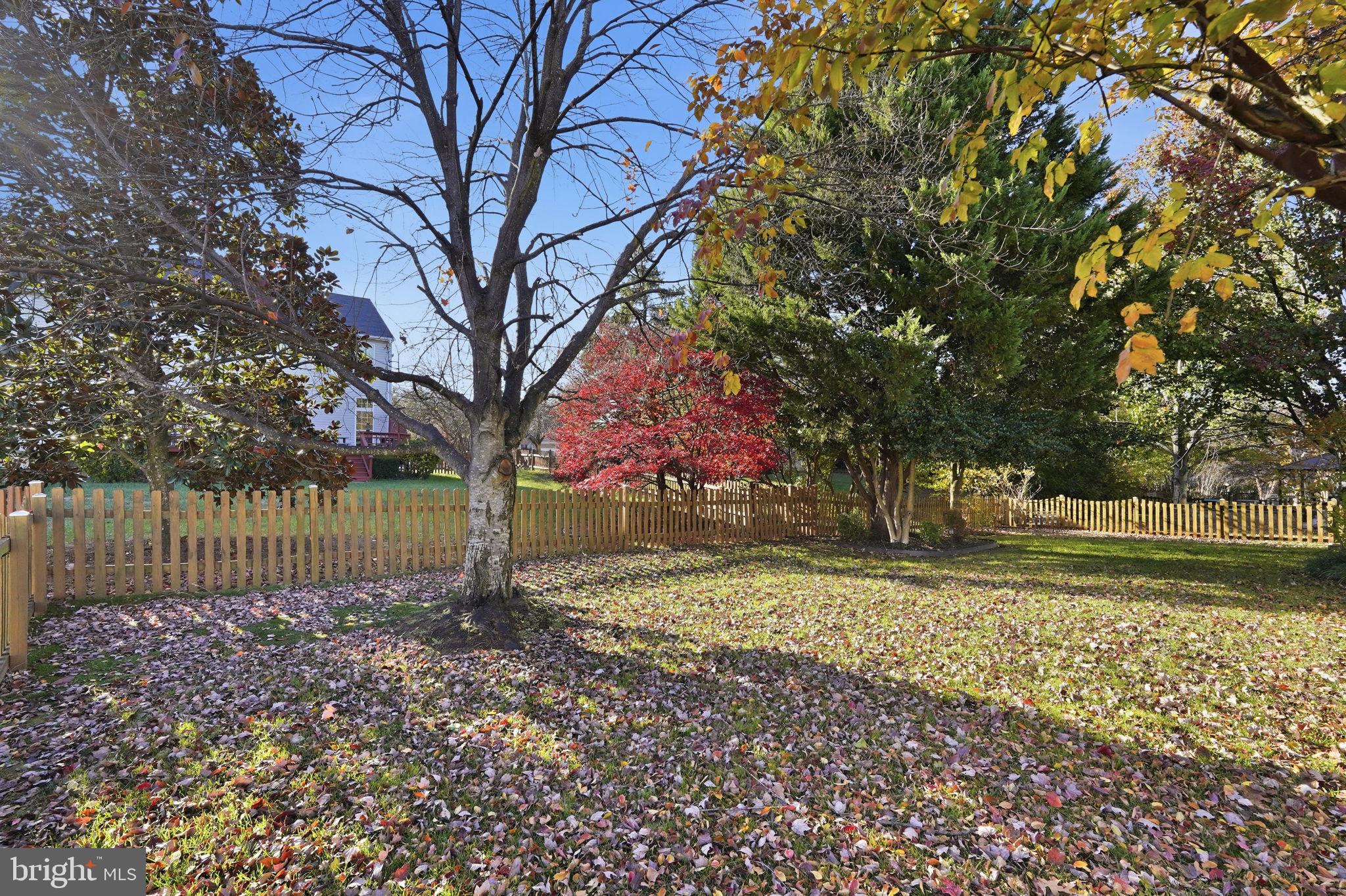 ASHBURN VILLAGE - Residential Lease