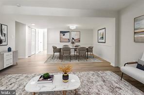 1132 JAMES MADISON CIRCLE