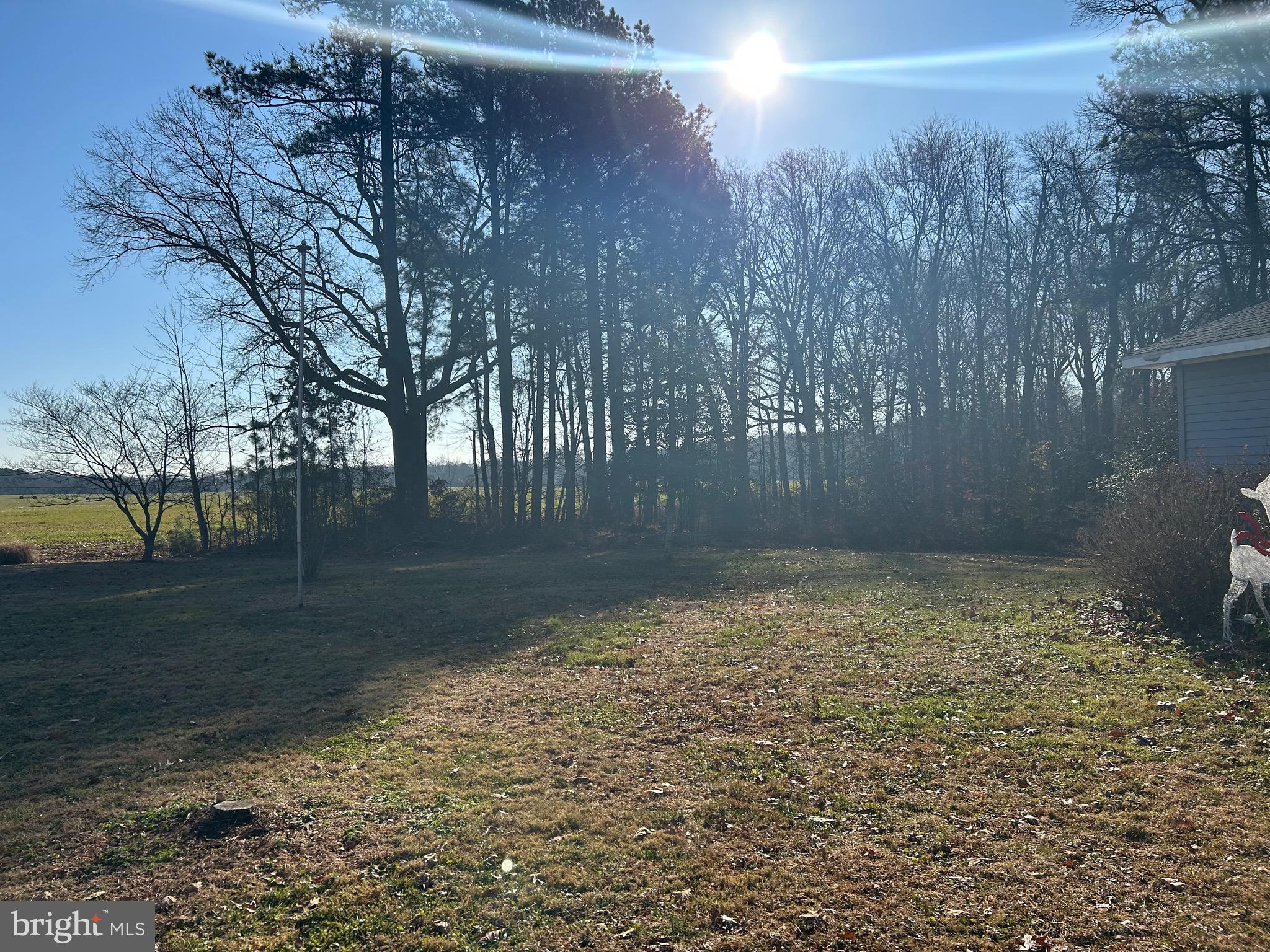 TRAPPE - Residential