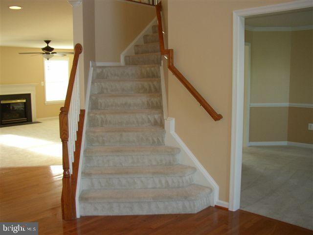 ST GEORGES ESTATES - Residential Lease