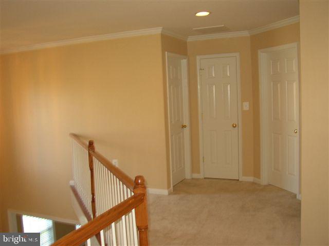 ST GEORGES ESTATES - Residential Lease