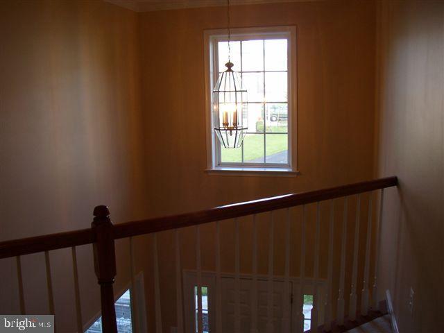 ST GEORGES ESTATES - Residential Lease