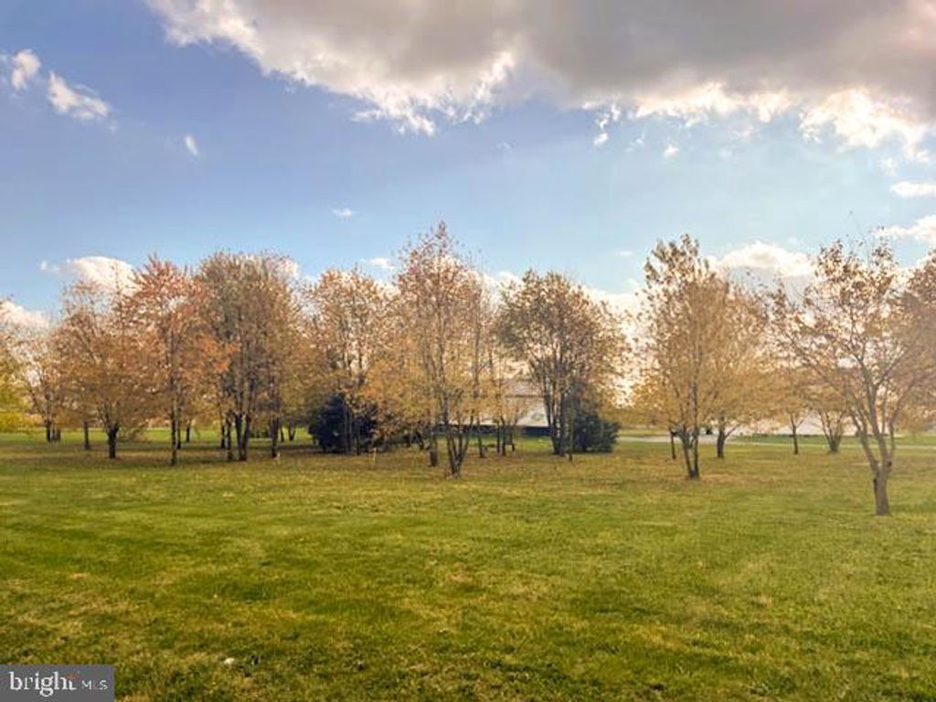 Photo of 6108 Scarlet Oak Dr, MERCERSBURG, PA 17236 (MLS # PAFL2032180)