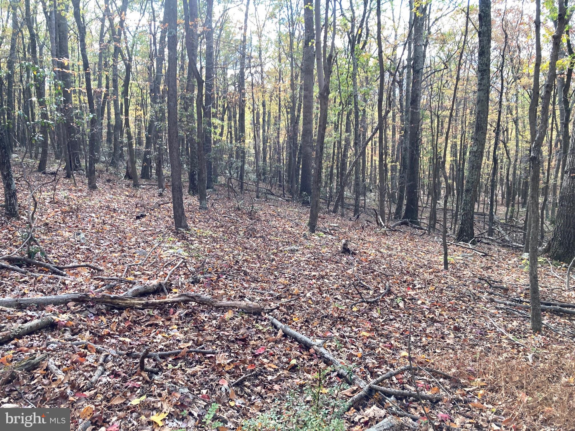 CABIN AT CAPON BRIDGE - Land