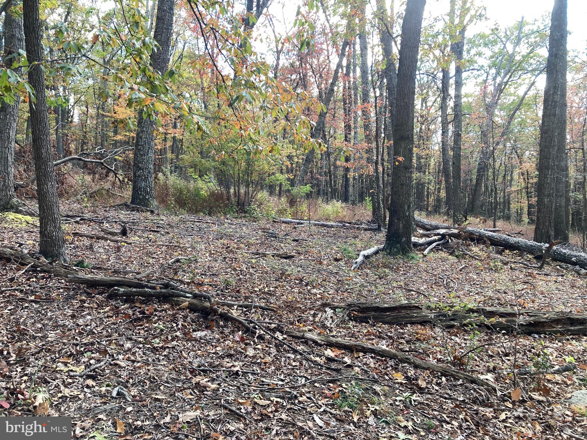CABIN AT CAPON BRIDGE - Land