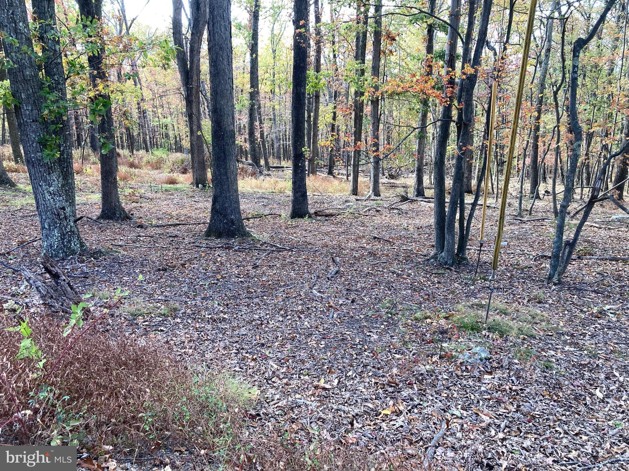 CABIN AT CAPON BRIDGE - Land