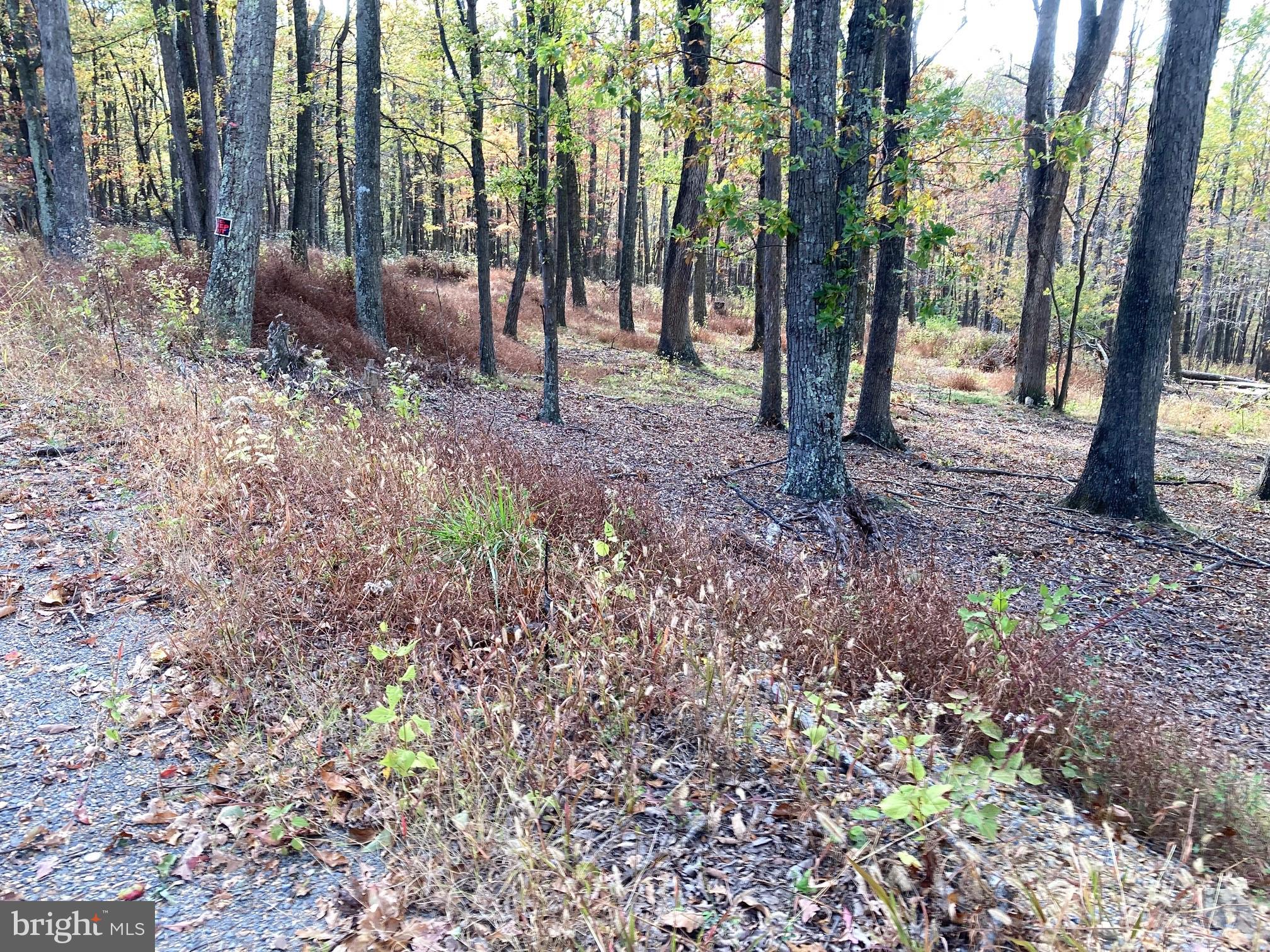 CABIN AT CAPON BRIDGE - Land