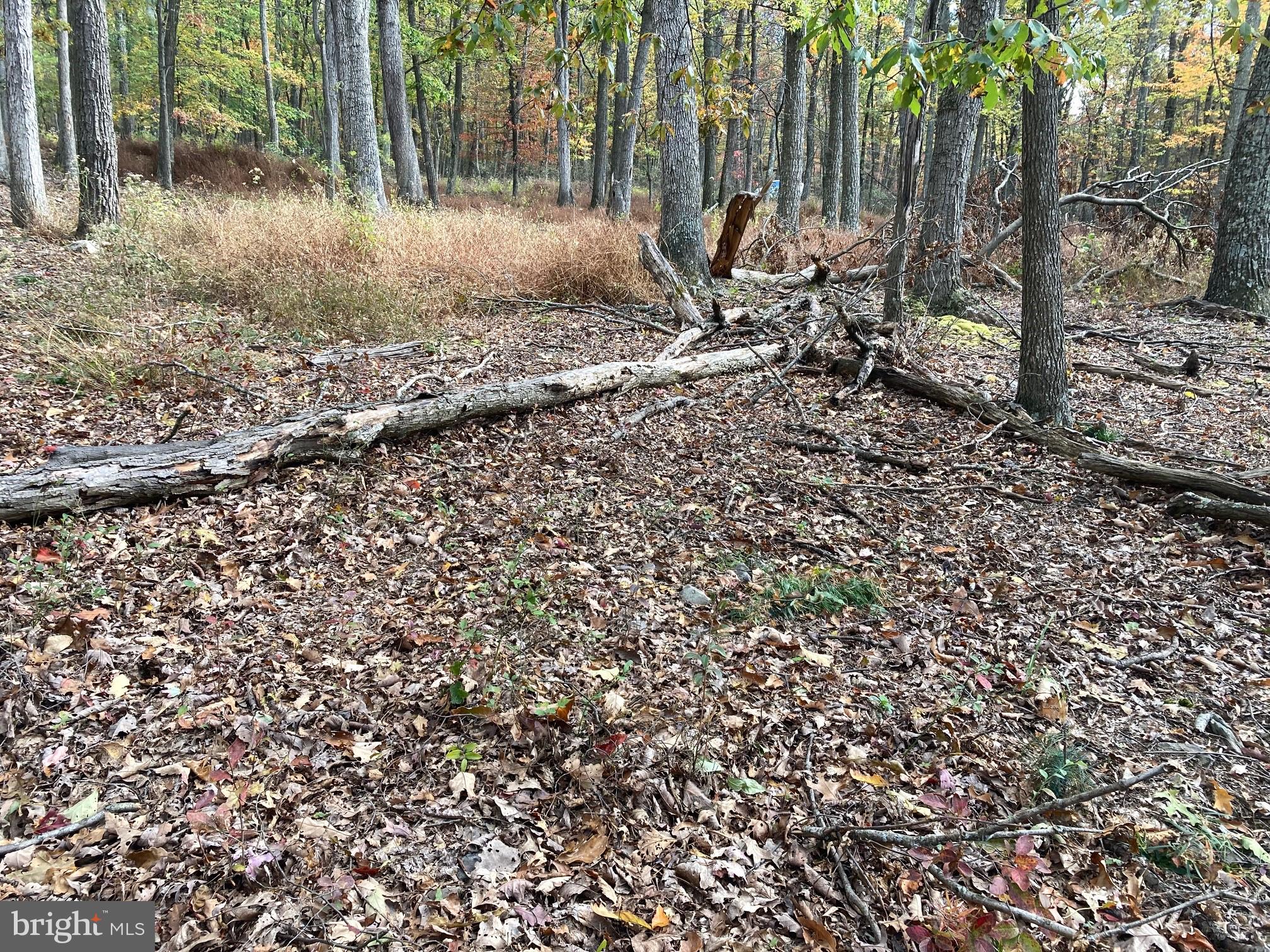 CABIN AT CAPON BRIDGE - Land