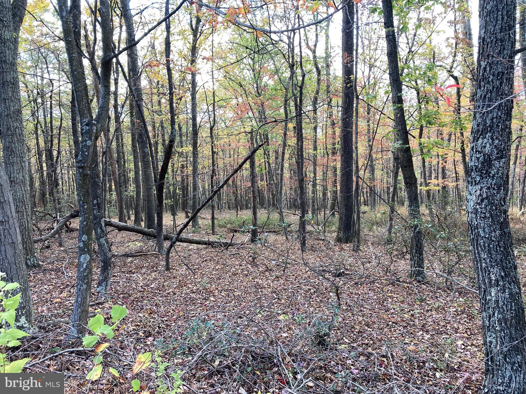 CABIN AT CAPON BRIDGE - Land