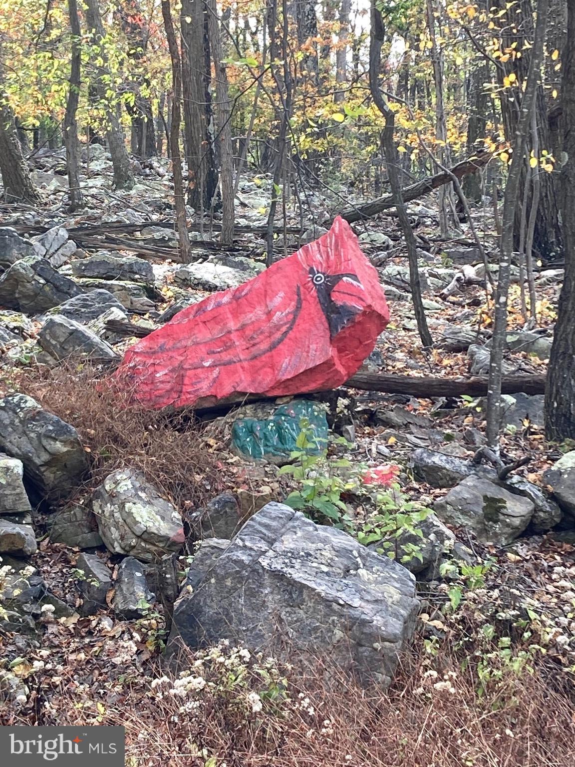 CABIN AT CAPON BRIDGE - Land