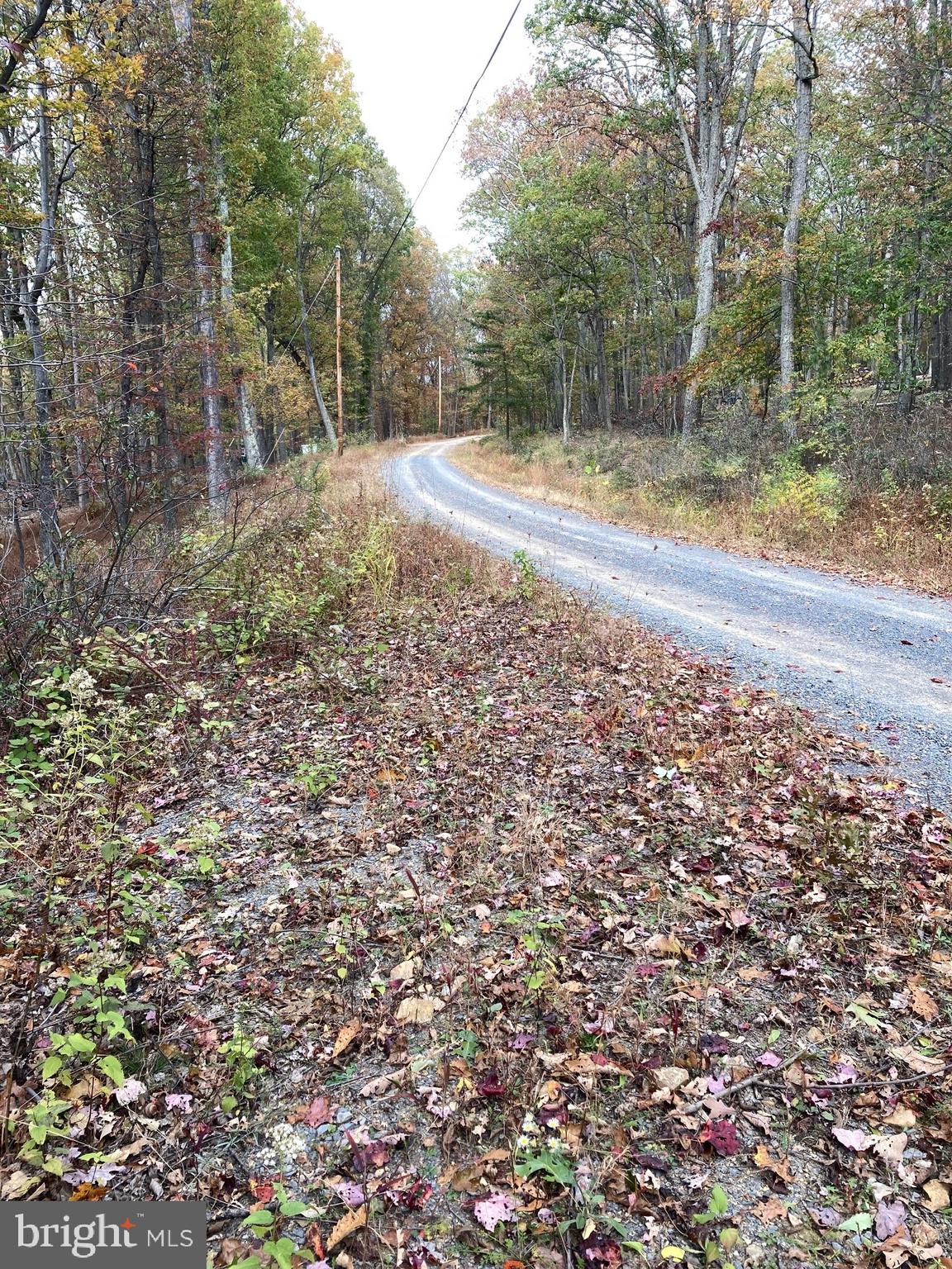 CABIN AT CAPON BRIDGE - Land
