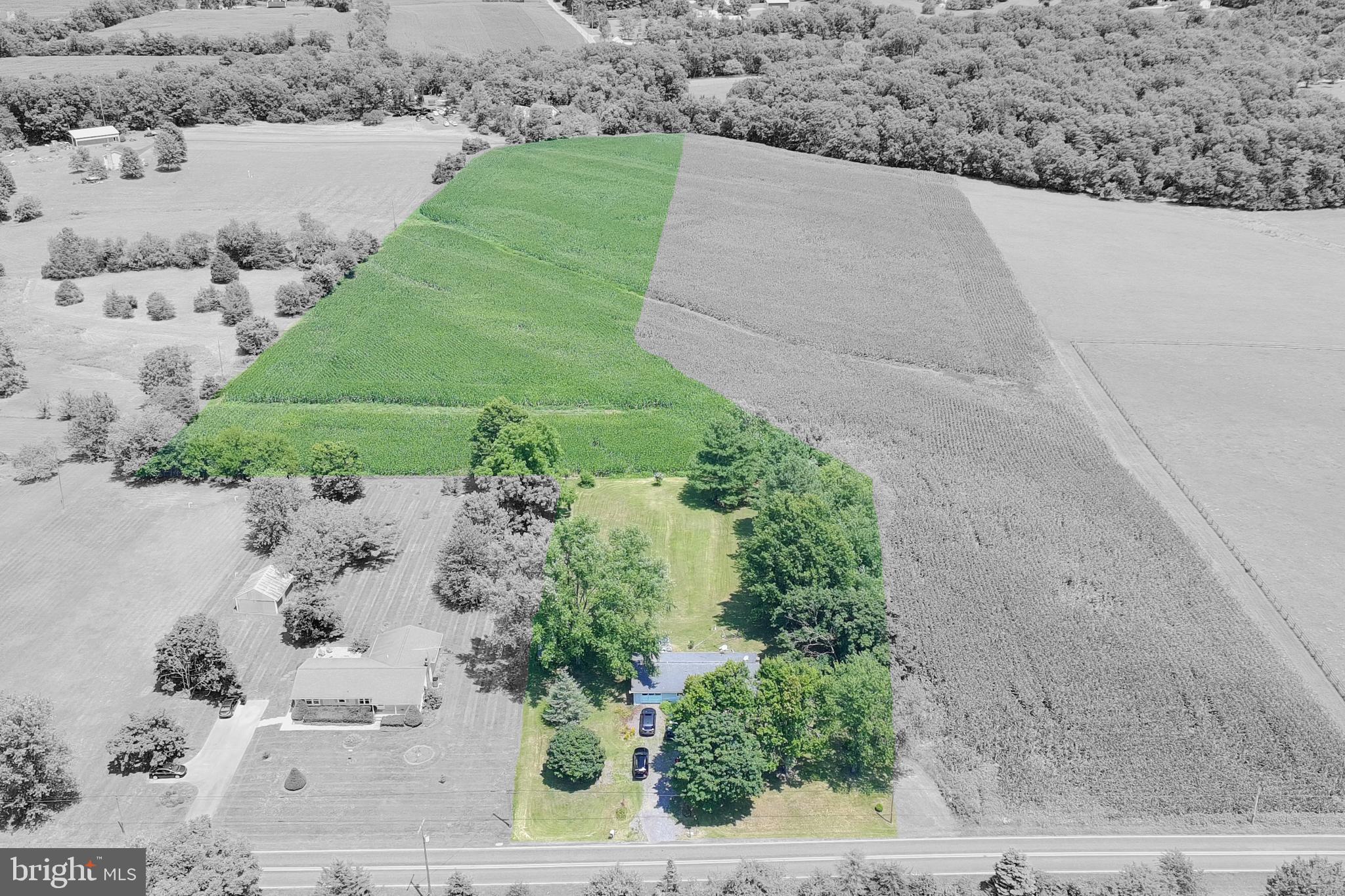 3901 BULLFROG ROAD