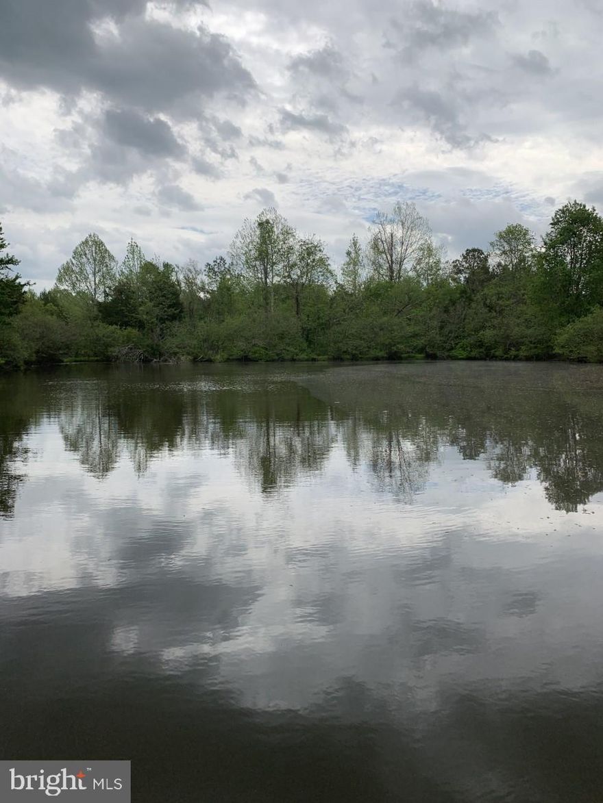 AS - SALE ****BEAUTIFUL WOODED PROPERTY, PERFECT FOR HOMESTEADER OR PEACE AND QUIET
This property has two lots; ****SOLD SEPERATELY !!!! Lot 9 is a buildable 22.72 wooded acres on a private road boarded by Miry Creek. Lot 9  has an old tobacco barn (estimated around 100 years) that could be restored.as well as a cinder block  home that is being updated. The Adjoining Lot 9 is 22.72 acres, with several cleared pastures is Listed separately for $95,000 ). The lake on Lot #10 has a dock, and brimming with good size bass, crappy, and bluegill. Lot 10 has a 2,103 square foot manufactured home perched on a knoll in the middle of the lot, accessed by a ¼ mile driveway. This home was built on a 
concrete pad and brick foundation, has 3 bedrooms, and 3 bathrooms, with underground utilities – no 
unsightly power lines to ruin the beautiful views. Over the last year, house has been updated with new 
roof, new vinyl plank flooring throughout, new paint, heat pump and appliances and new well pump and 
storage tank. Master bedroom is a double size master with 2 bathrooms; one with a double jacuzzi tub, 
toilet, and vanity, and the 2nd with a shower, toilet, and vanity. The master his and her baths are 
separated by a large walk-in closet. House is waiting for the right owner to add decks or a screened 
porch/patio facing the lake (footers already installed) and add finishing touches. Lot 10 also has a 1,200 
square foot cinder block house that can be renovated for use as a workshop, a guest house or rental. It 
has a large kitchen, bath, living room and loft bedroom. There is an additional electric, water, and sewer 
hookup on Lot 10 where a manufactured house used to be, on a cleared lot that can be used for building 
a barn/workshop or possibly another house. Cedar Lake is a private community with a private road 
maintained by the owners. There is a $100 yearly maintenance fee to pay for road maintenance. This is a 
beautiful property that has potential for living while building a dream home or preserving privacy with 
the two lots adjoined.


Great fishing and swimming spot. ***Great Vacation Home or Hide Away with two parcels and 43.75 acres with woods and open pasture. Property features a large 3/bed, 3/bath 1999 DW on permanent foundation. Updated with new Roof, AC, Appliances, new laminate flooring and some lighting and bath fixtures.  Property has three well and Septic sites.  Beautiful Spring Fed Pond and boarders MIRY Creek along rear of the property. stream 
Old Historic barn site on Lot #9 just South of the property line by old farm road which runs the property on the northern edge.
Potential to renovate the Cinder Block home and add a rental home by the main road where a 14 X 66 ' SW pad , well, and septic exist already