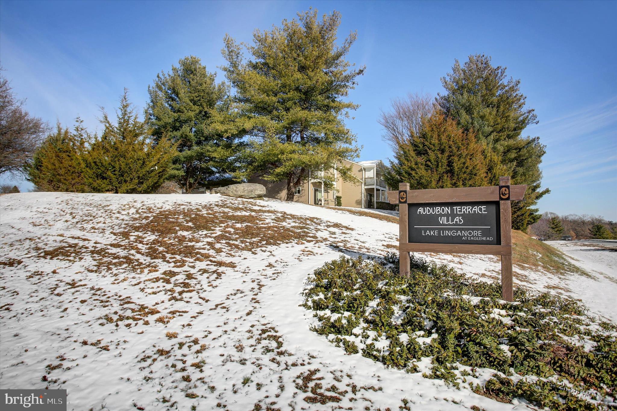 AUDUBON TERRACE VILLAS - Residential