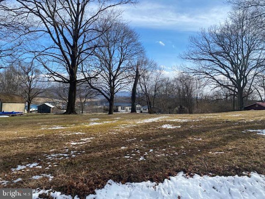 Prime opportunity! This cleared, vacant lot is ready for development, offering a blank canvas for your next project! Build a home or move/place a manufactured home on this lot. No restrictions on mobiles. Located in town with access to both public water and sewer hookups.  Convenient access and frontage to Chestnut Avenue and Welch Street. The seller is also willing to have a survey completed, making this a hassle free purchase. Close to major amenities.  Give us a call with any questions!