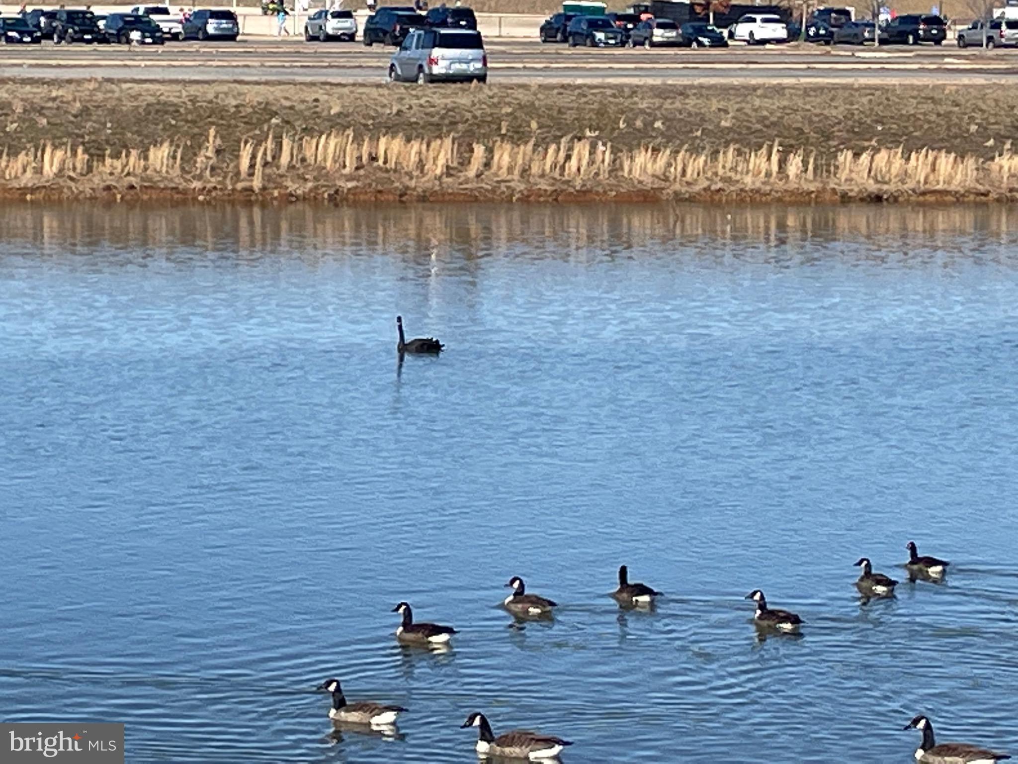 NEW POST ON THE RAPPAHANNOCK - Residential