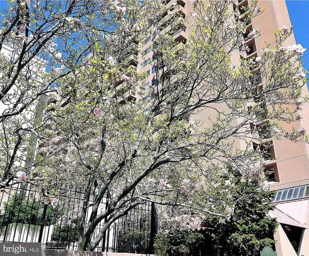 Photo of 1301 N Courthouse Road #1005, ARLINGTON, VA 22201 (MLS # VAAR2070810)