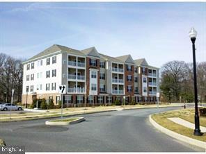 245 BREEDERS CUP DRIVE