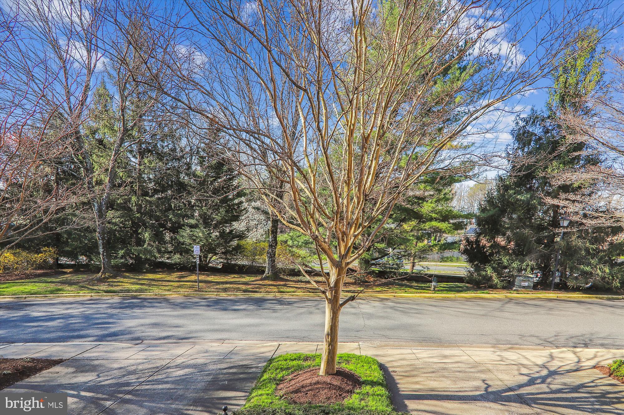 TIMBERLAWN - Residential