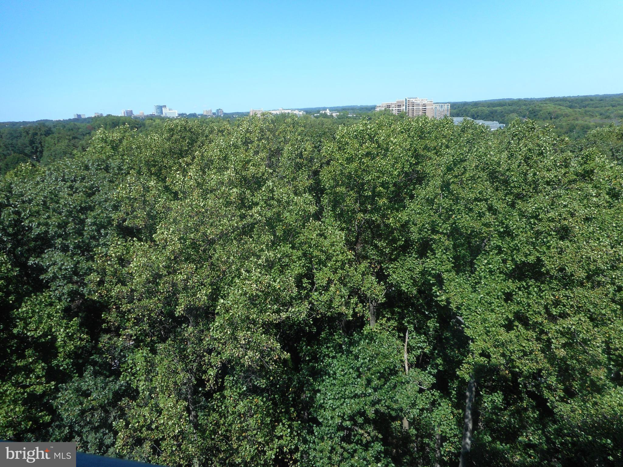 PROMENADE TOWERS - Residential Lease